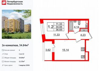 Продается 1-комнатная квартира, 34.8 м2, Санкт-Петербург, метро Озерки