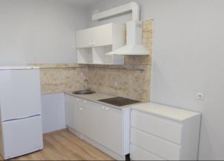 Сдается квартира студия, 25 м2, Тюмень, Интернациональная улица, 199к5