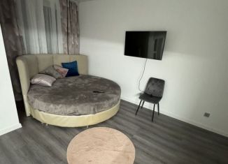 Сдаю квартиру студию, 30 м2, Санкт-Петербург, Пулковское шоссе, 99к6, метро Звёздная