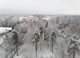 Аренда 1-комнатной квартиры, 37 м2, Ленинградская область, Заречная улица, 1