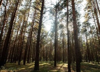 Участок на продажу, 100 сот., Тюменская область, Транспортная улица