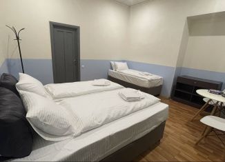 Аренда комнаты, 20 м2, Санкт-Петербург, Вознесенский проспект, 41, Адмиралтейский район